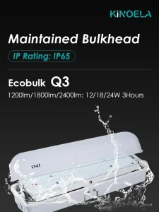 1.5H Backup Time CE CB Certified Emergency Bulkhead High Safety Reliable Emergency Lighting Fixture 1.5 Hours Emergency Runtime