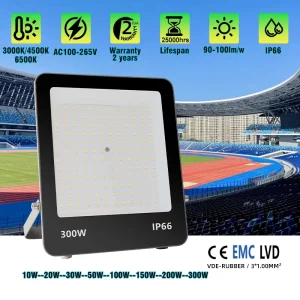 100W 150W 200W 300W Max30000lm Ip66 Waterproof 4KV 2 Years Warranty DOB Led Floodlights Commercial Outdoor Flood Light