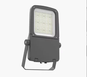 100W IP66 Aluminum LED Flood Light High Bright ROHS Certified 3000K 6000K Color Temp for Road Garden Stadium Use 5 Year Warranty