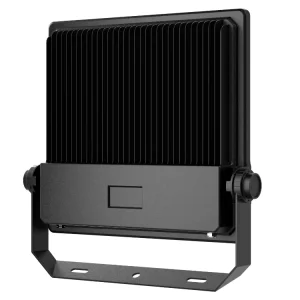 100W Modern IP65 High Temperature Resistant Variable Temperature Ce Rohs Multivoltage Solid LED Flood Lights for Industrial