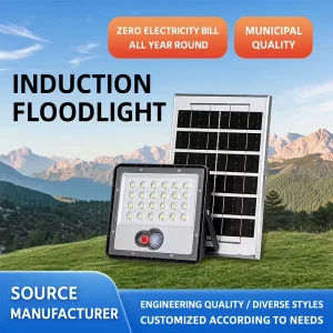 100W Motion Sensor Solar Street Light IP67 Waterproof 700LM 10H Runtime for Garden Road
