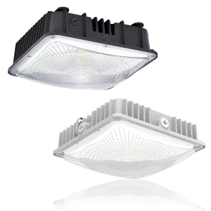 10KV Dimmable Parking Garage LED Lights ETL CE RoHS Retrofit LED Canopy Light Luminaires Outdoor 40W 60W 80W 100W 150W 200W