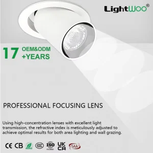 10W 15W 30W Round Shape Embedded Extendable Lamp Head LED Cob Downlight 360° Horizontal Rotation Corridor Ceiling Hotel Office