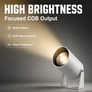 10W 20W 30W 40W 50W 60W COB Anti Glare LED Spot Light AC85 265V DC24V IP65 Waterproof Exterior Facade Project Lamp