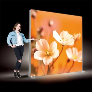 10ft X 7.5ft Rectangle PVC Frameless LED Backlit Fabric Light Box for Advertising
