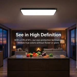 126W Large Rectangle LED Ceiling Light 900*580mm Dimmable CRI 97 Remote Control Surface Mounted Modern for Living Room Kitchen