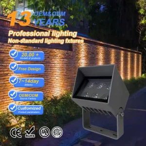 12V DC COB LED Flood Light 4 9W IP65 Waterproof Aluminum Housing Remote Control Outdoor Warehouse Lighting