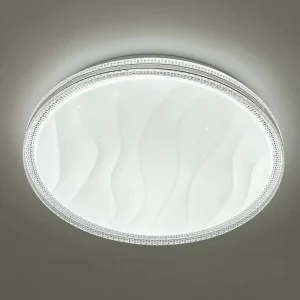 12W/24W/36W Smart LED White Ceiling Light Surface Mounted Modern Panel Dimmable Remote/App Control IP20 Rated Living Room