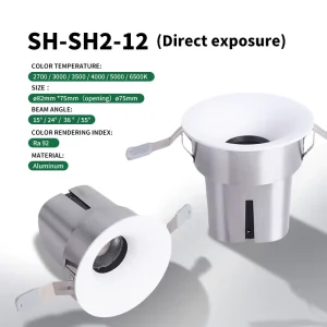 12W Recessed Direct Spotlight DIY Replaceable Lens Matte White Black Trim Aluminum Recessed LED Downlight