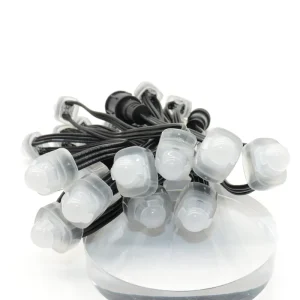 12mm RGB Pixel LED String Light IP68 Plastic Point Lights for Landscape Decoration for Indoor and Outdoor Use