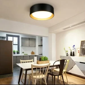 16inch Modern Metal LED Bedroom Ceiling Light 30W 3000lm 5CCT 120V with ETL FCC