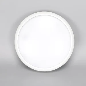18W 24W 40W 3CCT CRI80 100 lm Per W App Remote Control Aluminum PC Modern Smart LED Ceiling Light