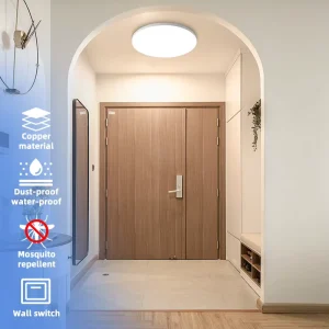 18W 48W Modern Metal Surface Mounted LED Ceiling Lights 2835SMD 3000K 6000K Custom Design 85-265V AC IP66 Rated CE Rohs