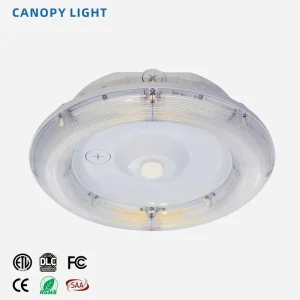 20 40 60 80 100W 3 CCT and 3 POWER Adjustable LED Canopy Light Outdoor Waterproof ETL DLC Gas Station Lamp 5 Years Warranty