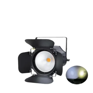 200W 300W COB LED Par Light Spotlights Barn Doors DMX512 Strobe Warm Cool White DJ Wash Beam Effect Stage Lighting IP33 CRI95