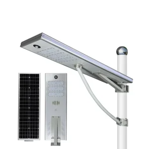 2022hotsale 60W 80W Microware Sensor Solar Panel Outdoor IP65 Rainproof Remote Control PIR Motion Sensor Solar LED Lamp