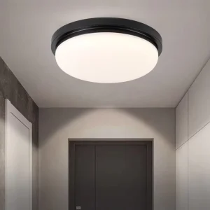 24W Simple Ceiling Light Bedroom Balcony Corridor 5CCT Dimmable Matte Black Round Shape Led Ceiling Lamp