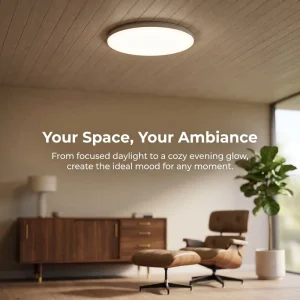 24W Simple Style Round LED Ceiling Light Modern Design Dimmable LED Ceiling Light for Bedroom 3000K-6000K
