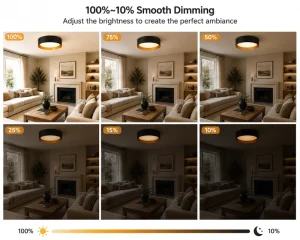 25W Energy Saving LED Ceiling Light Fixture Modern Design for Living Room Bedroom & Home Lighting ETL cETL Certified