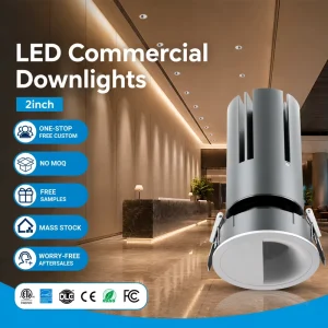 2in Anti-glare COB LED Recessed Downlight 15/24/36/60 Beam Angle Adjustable Commercial Spotlight Modern Indoor Large Heat Sink