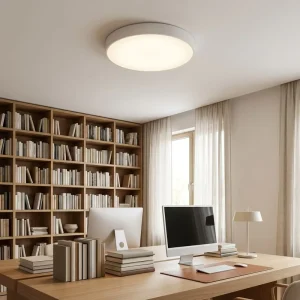 3000K-6500K PC 32W 48W AC 100-265V Surface Mounted OEM Ceiling Lamps Modern Living Room Designer Ceiling Light
