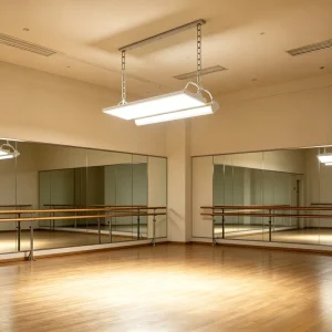 300W Anti Glare Linear High Bay Pendant Lights for Badminton Hall Gym Industrial Warehouse Workshop Ceiling Lights