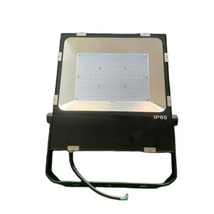 300W High Mast LED Flood Light Badminton Court IP65 Stadium Park Lighting Aluminum Alloy Body 6000K 5000K Color Options