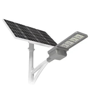 40W 60W 80W 120W High Efficiency Two in One Split Type Solar LED Street Lamp Highways IP66 Rating AC Battery Power Supply