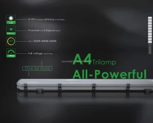40W Industrial LED Tri-Proof Light for Warehouse Use