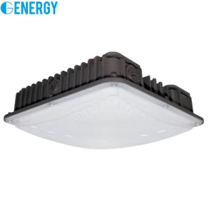 40W LED Canopy Lamp ETL 100-347V Commercial 6000LM Gas Station Garage Warehouse Carport Industrial Ceiling Surface Pipe Mount