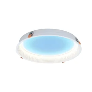 45W 65W Ultra Thin Round Circle 4inches Smart Dimmable CCT LED Flat Sky Ceiling Down Panel Light Sunlight for Home Living Room
