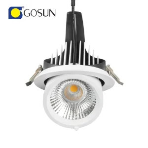 5 Inch 20W 2700-5700K CCT Tunable 2.4G RC/TUYA APP/DMX/DALI LED Gimbal Downlight 5 Years Warranty