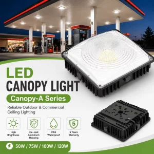 50 75 100 120 Watt LED Canopy Light IP65 5 Year Warranty for Shopping Mall Toll Station