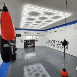 50W Ultra Slim Hexagonal LED Light with Aluminum Cover COB LED Ceiling Light for Retail Store Aisles Workshops Showrooms