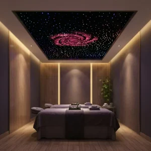 5W Indoor Decoration Fiber Optic Light Star Ceiling Starry Sky Ceiling App Control LED Light Kit