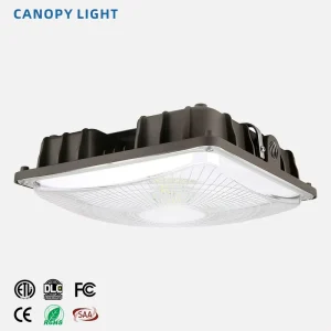 60W 50-60Hz 130lm/W IP65 LED Parking Lot & Canopy Lighting for Warehouse
