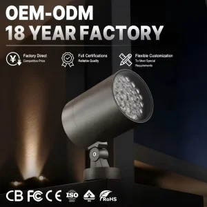80W Single Color LED Spotlight IP65 Waterproof Exterior Airport Railway Station Seaport Architectural Lighting T200
