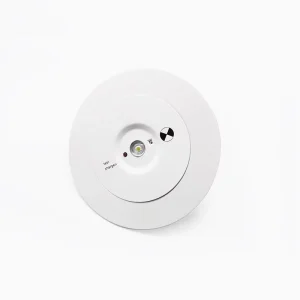 AS2293 Compliant Emergency LED Firerated Downlight D40 D50 2W 3H SAA CE CB Emergency LED Light Fixtures Professional Light
