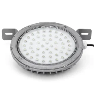 ATEX 30W 50W 100W 150W 200W IP66 AC220V Class I Division 1 Gas Station Emergency Explosion Proof LED Ceiling Light