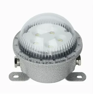 ATEX Explosion Proof Ceiling Light with Emergency Power Supply IP66 Rated
