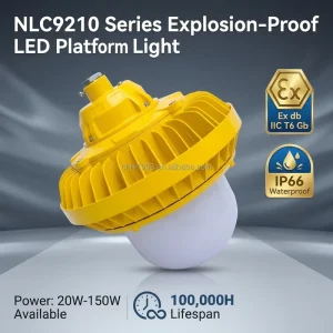 ATEX IECEx Standards IP66 Explosion Proof LED Flood Light for Hazardous Area Energy Saving High Bay Industrial Lighting Fixture