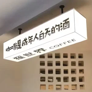 Acrylic Light Box Billboard Customizable Stainless Steel Outdoor Sign Waterproof LED Illuminated Logo and Letters