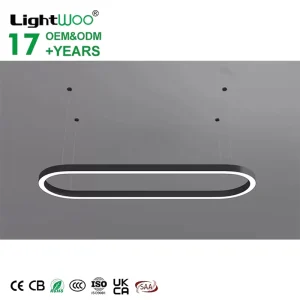Acrylic Optical LED Line Iron Art Chandelier High Transmittance Hanging Fixture Direct Sales Droplight Pendant Light