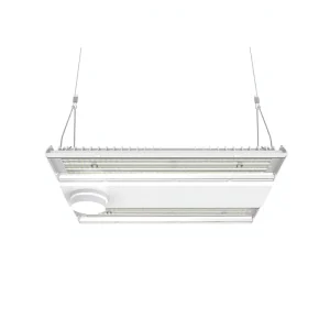 Adjustable Beam Angle Aluminum for Linear High Bay 0 10V Dimmable Sensor Ready Made Mexico DLC 6.0 5 Year Warranty High Lighting