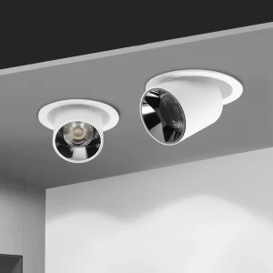 Adjustable Indoor Store Shopping Mall COB 20W LED Down Spotlight