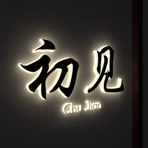 Advertising Illuminated LED Channel Letter Business Sign 3D Light Up Custom Logo Acrylic Outdoor 3D LED Sign