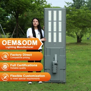 Alltop Outdoor Road Street Light Aluminum IP65 200W 300W SMD LED with Mono Crystalline Solar Panel 3000 6500K Color Temp