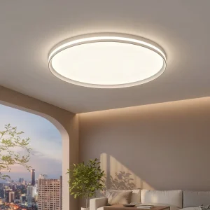 Aluminium Profile Ceiling LED Light Dimmable Round Ultra Slim Large Indoor Modern Fixture Remote Switch for Bedroom Living Room