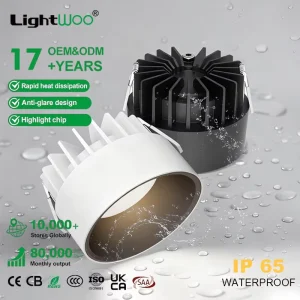 Aluminum Housing LED Downlight COB 15W 24W 36W Waterproof IP65 Recessed Surface Mounted 75 90mm Round Anti glare Trimless Frame