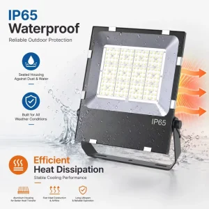 Black 100W LED Flood Light with Long Lifespan for Billboard and Outdoor Road Lighting